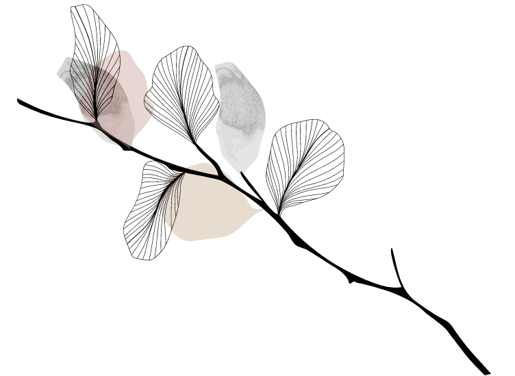 Eine Zeichnung eines Zweiges mit Blättern in Schwarz und Weiß.